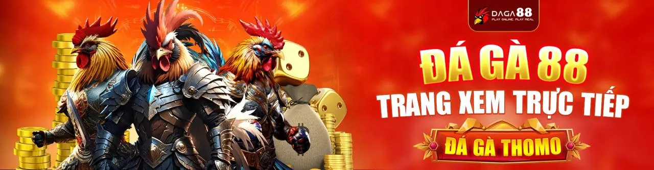 Quan sát trực tiếp trận đấu