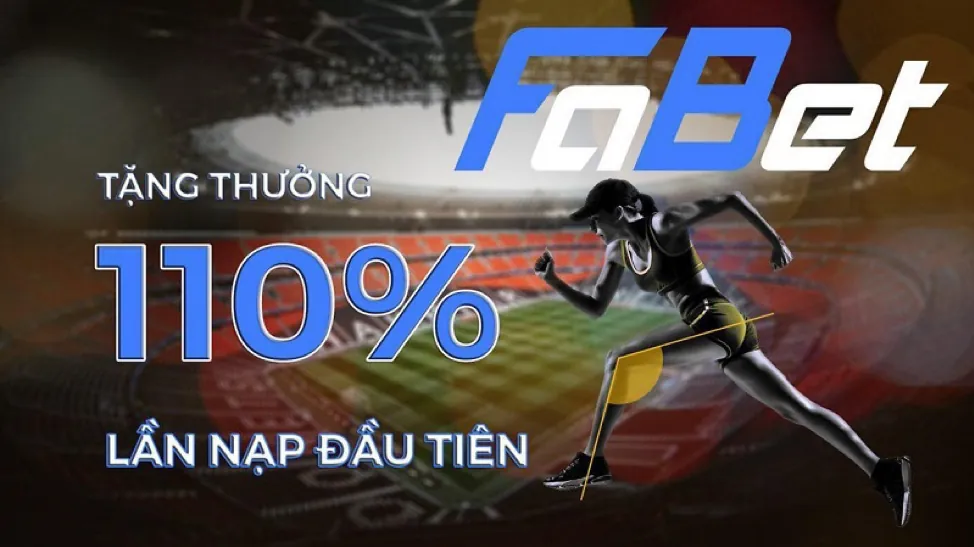 Hướng dẫn cho người mới bắt đầu
